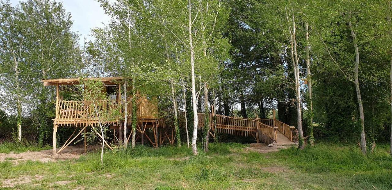 La Cabane Perchee Villelaure Exteriér fotografie
