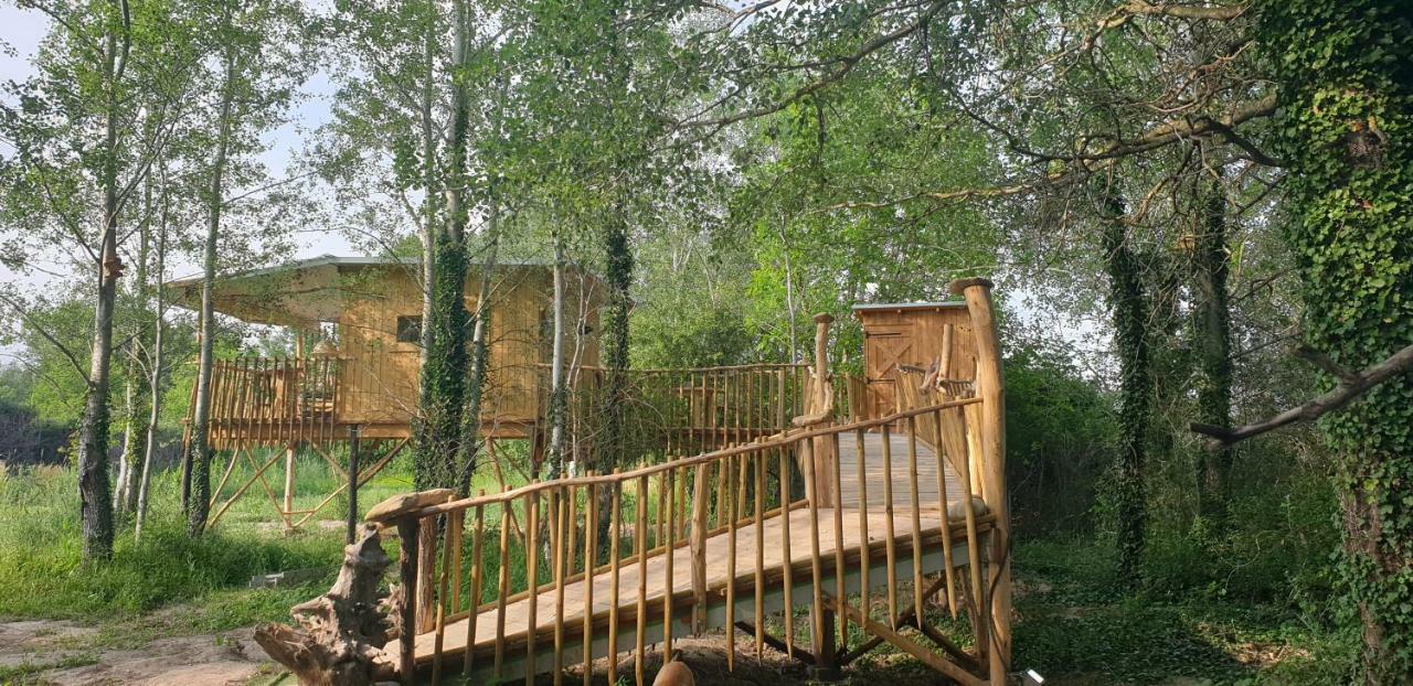 La Cabane Perchee Villelaure Exteriér fotografie