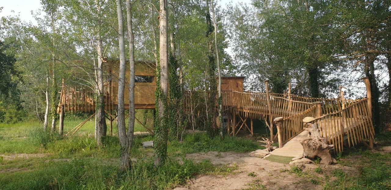 La Cabane Perchee Villelaure Exteriér fotografie